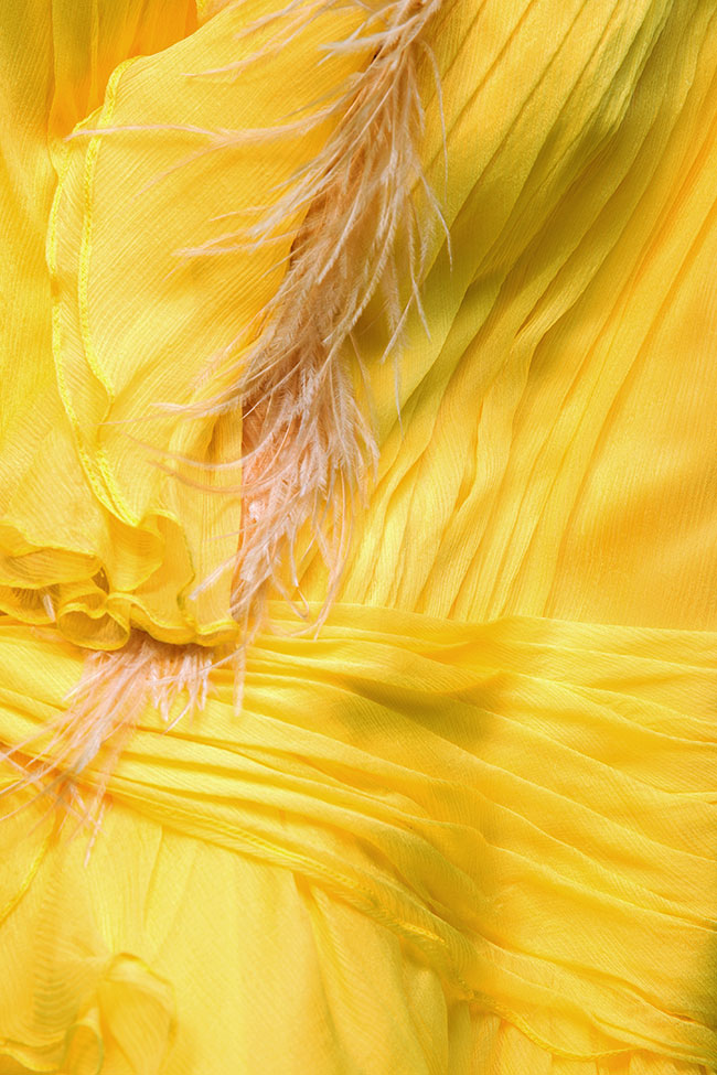 Robe en mousseline de soie avec insertions de plumes d'autruches Mirela Diaconu  image 4